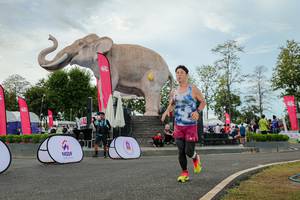 BIB: 
                            <button type="button" onclick="openModal(26528768)" class="btn btn-primary btn-sm float-right btn-popup" data-toggle="modal" data-target=".modal-high-quality">
                        <i class="fas fa-shopping-cart"></i> Add to Cart
                    </button>
                                            <button type="button" onclick="isThisMe(26528768, true)" class="btn btn-success btn-sm float-right btn-popup btn-isme hidden" data-toggle="tooltip" data-placement="bottom" title="นี่คือรูปของคุณใช่ไหม คลิกที่นี่เพื่อเอาเข้าอัลบั้ม">
                        <i class="fas fa-plus"></i> Add to album
                    </button>
                    <button type="button" onclick="isThisMe(26528768, false)" class="btn btn-warning btn-sm float-right btn-popup btn-isnotme hidden">
                        <i class="fas fa-ban"></i> Remove from album
                    </button>